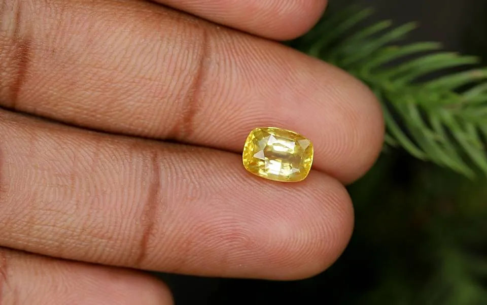 Yellow Sapphire (Heated) - 3.08 Carats